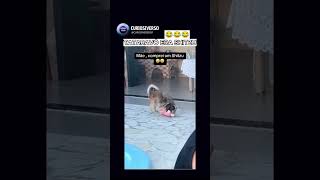 TATARAVO ERA SHITZU KKKK