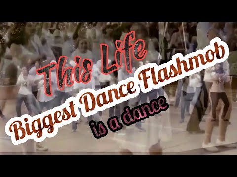 This Life #is a dance# Flashmob Clip - OLWIK feat. Johnning NCS Release