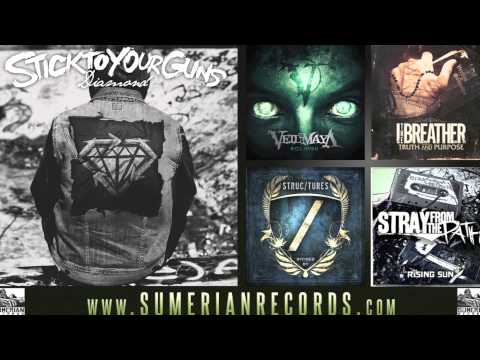 STICK TO YOUR GUNS - Empty Heads