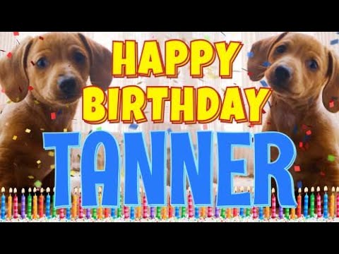 Happy Birthday Tanner! ( Funny Talking Dogs ) What Is Free On My Birthday