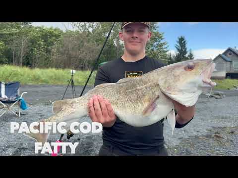 Pesca con drone a Seward, Alaska — Serie di 4 settimane: halibut e merluzzo gigante