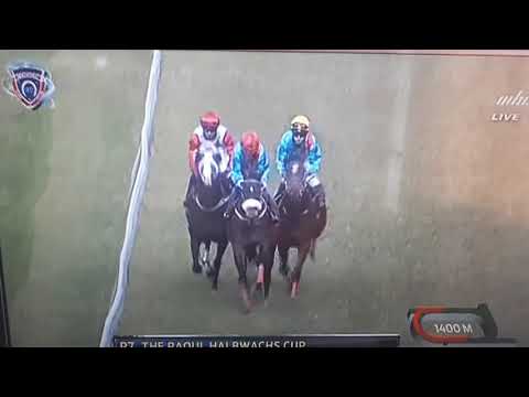 PRINCE OF PERSIA with  R.JOORAWON