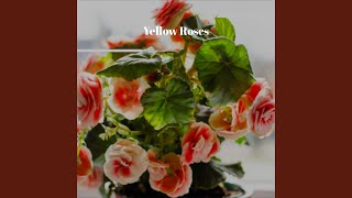 Yellow Roses