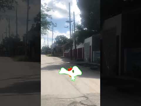 🇨🇺Calles Desconocidas, nadie las ve | Calle Carlos Labrada #lastunas #cuba