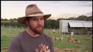 Pastured Egg Farming Landline Australia