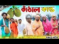 কাঁঠাল কান্ড|Tinku Comedy|Bangla Funny Natok Video|Tinku Str Company