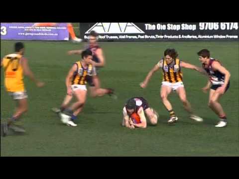 VFL Round 22 Mark & Goal of Day