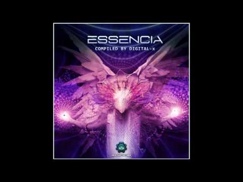 shekinah vs labirinto analog pulse nevermind remix