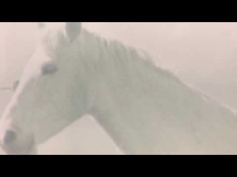 Jan-M. Iversen & Tzesne - Elements#3 PORTRAYING A HORSE