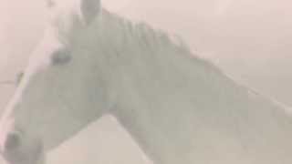 Jan-M. Iversen & Tzesne - Elements#3 PORTRAYING A HORSE