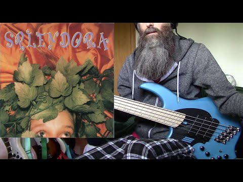 Splendora - You're Standing On My Neck (bass cover)