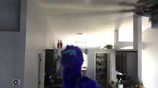 I hate Christmas (tribute to Carroll Spinney)