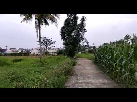 Bertaubat sebelum Ramadhan  ll Ustadz Darus Lubis