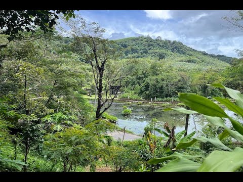 Almost 4 Rai of Lush Tropical Land for Sale in Pa Khlok