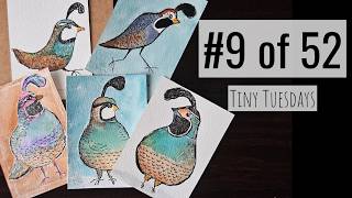 Beginner Watercolor Tutorial | Tiny Tuesday #9 Whimsical Quail