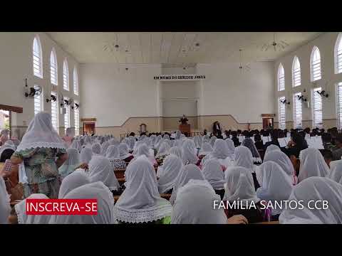 ENSAIO REGIONAL MAURITI/CE #HINO 220 CCB (CRISTO VOLTARÁ)