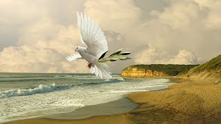 Bach: Jesu, Joy Of Man's Desiring (Lyrics)