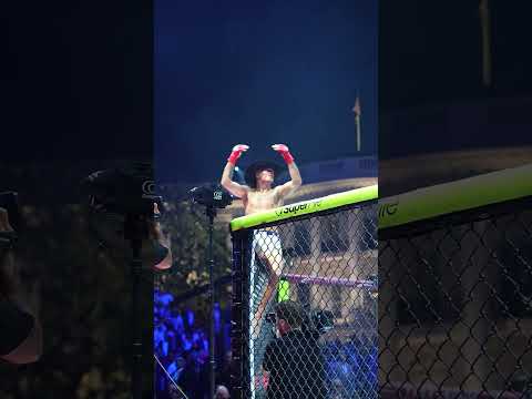 UFC video artwork