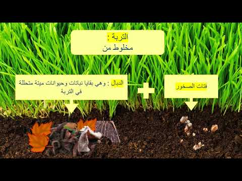 فيديو تعليمي