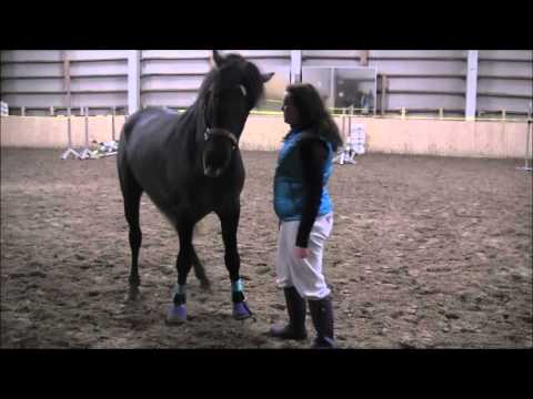 Voore Rivigal - maastakäsin kooste, 2/2016