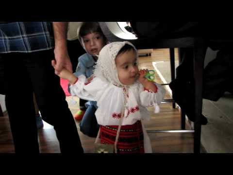 Trandafir de la Moldova (taiat mot Sofia)