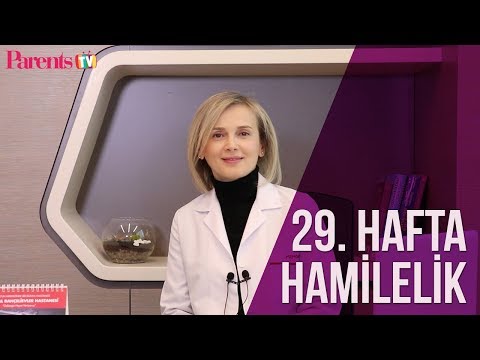 Parents TV - 29. Hafta Hamilelik