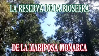 preview picture of video 'Mexico—Part 4: Monarch Butterfly Biosphere Reserve Michoacán'