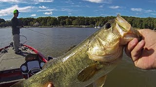 FLW BFL Bass Fishing Tournament Practice Day (Muddy Potomac River!!!)