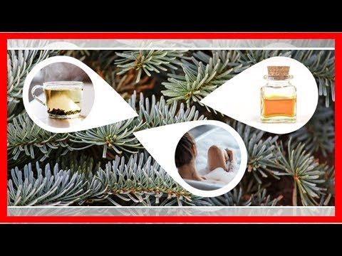 Weihnachtsbaum upcyceln