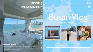 【釜山旅行】BUSAN Vlog3　20代カップル釜山散策ラストDAY•釜山在住家族からの素敵なおもてなしの夜💖