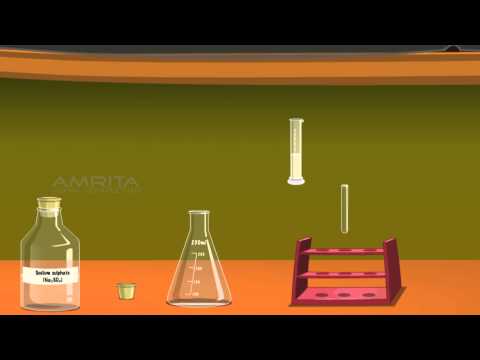 The Law of Conservation of Mass - MeitY OLabs