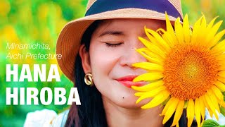 SUNFLOWER | Hana Hiroba