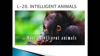 GENERAL KNOWLEDGE, CLASS 5, LESSON 19,20,21,22. BY PURABI BORGOHAIN