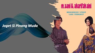 Download lagu Joget Si Pinang Muda - Sharifah Aini & M Sani mp3 Download lagu Joget Si Pinang Muda - Sharifah Aini & M Sani mp3