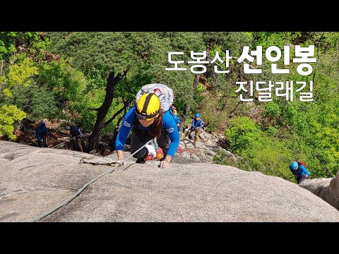 [도봉산 선인봉]정상 집착녀 정상에 못가는 루트 "진달래길"을 오르다./미미의등산일기