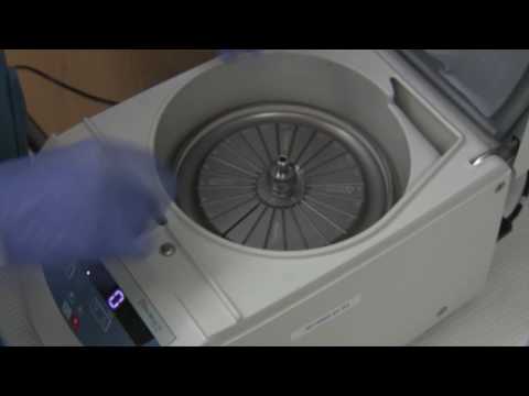 PCV and Total Protein