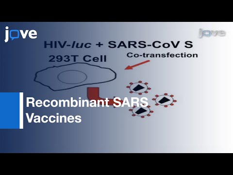 Protein Preparation, Animal Vaccination & Neutralization Detection l Protocol Preview