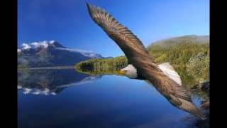Sammy Hagar Eagles Fly