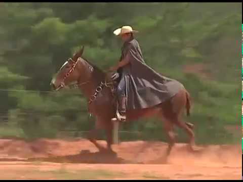 CABOCLA DO TARUMÃ   10Youtube com