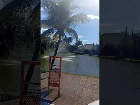 Laguinho do vovô em Formosa Goiás #### lindo esse lago dentro da cidade ###