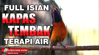 Download lagu KONIN GACOR FULL ISIAN KAPAS TEMBAK - MANTAP BUAT MASTERAN PANCINGAN KONIN IKUT BONGKAR IKUT GACOR mp3