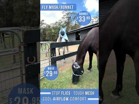 Delzani Full-Face Fly Mask with ears & nose cover – zebra mesh walkthrough