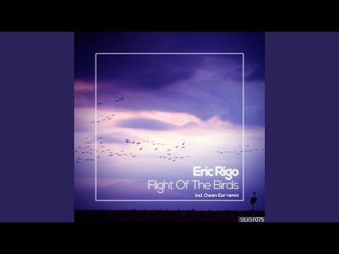 Flight Of The Birds