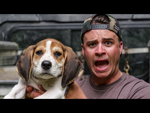 You're Not Gonna Like This (I've made some changes)