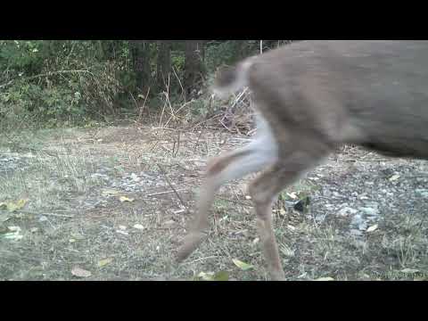 2022 1027 181223 000013