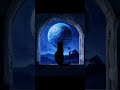 Enigma - Message From Io