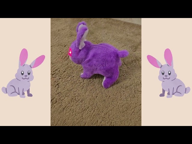 لعبة الأرنب المتحرك