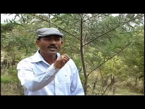 New Eritrean Music Russom G/Giorgis / Dahaya / ዳሃያ - ርእሶም ወዲ ጋብር