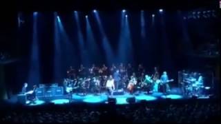 Led Zeppelin Masters & The black dog orchestra in Sydney 2016