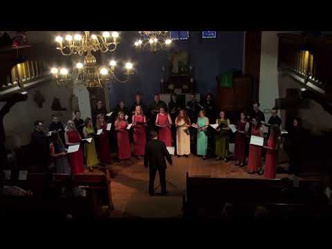 Tykus tykus - Vaclovas Augustinas - Choir Aidija